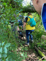 /album/oberbreidenbach-2024/wandertag-19-jpg/